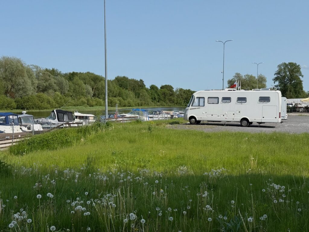 Baltikum 2025 – Lettland 2 – 1 Ein weißes Wohnmobil steht auf einem Schotterplatz in der Nähe eines Yachthafens mit mehreren Booten, umgeben von grünem Gras und Bäumen unter einem klaren blauen Himmel. Im Vordergrund wachsen Löwenzahn und Wildblumen.