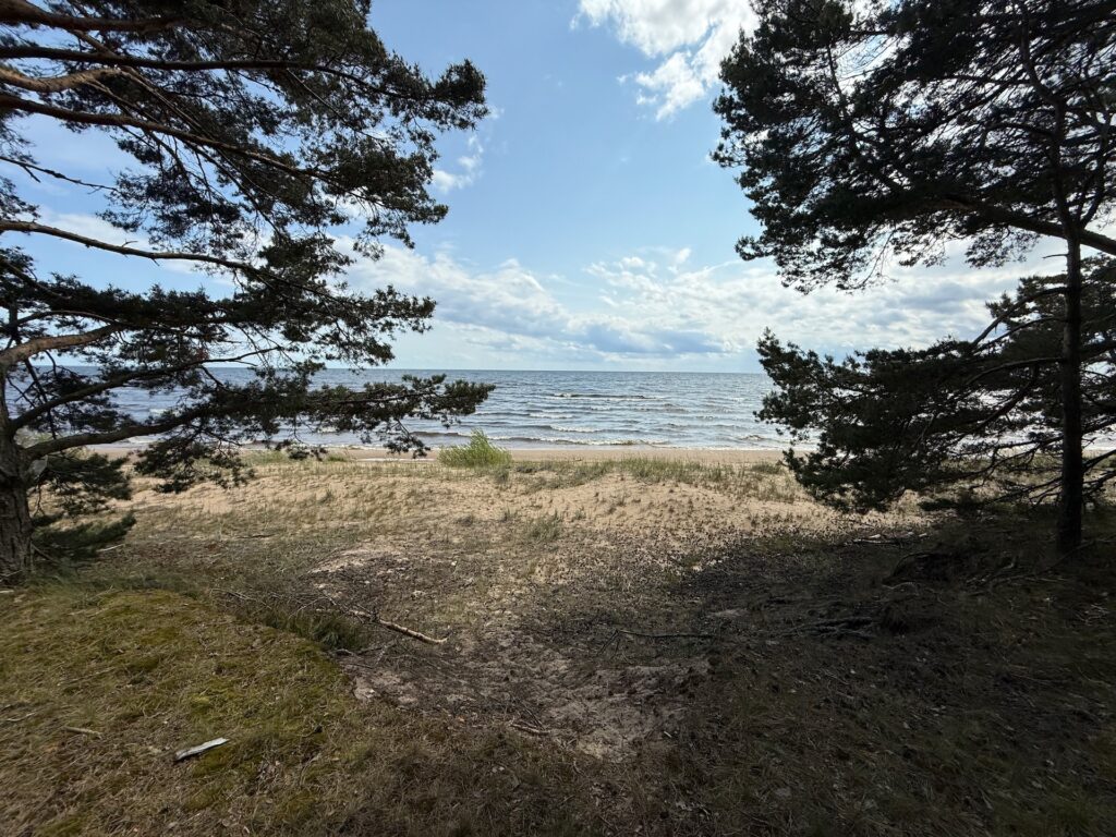 Baltikum 2025 – Lettland 2 – 12 Blick auf einen Sandstrand und das ruhige Meer, beidseitig von Pinien eingerahmt, unter einem teilweise bewölkten Himmel. Das Wasser erstreckt sich bis zum Horizont, und Sonnenlicht erhellt die Szene durch die Äste.