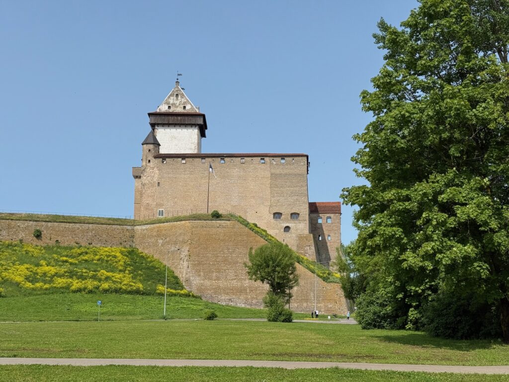 Baltikum 2025 – Lettland 2 – 19 Eine große mittelalterliche Steinburg mit einem hohen Turm steht auf einem grasbewachsenen Hügel, teilweise umgeben von üppigen grünen Bäumen, unter einem klaren blauen Himmel.