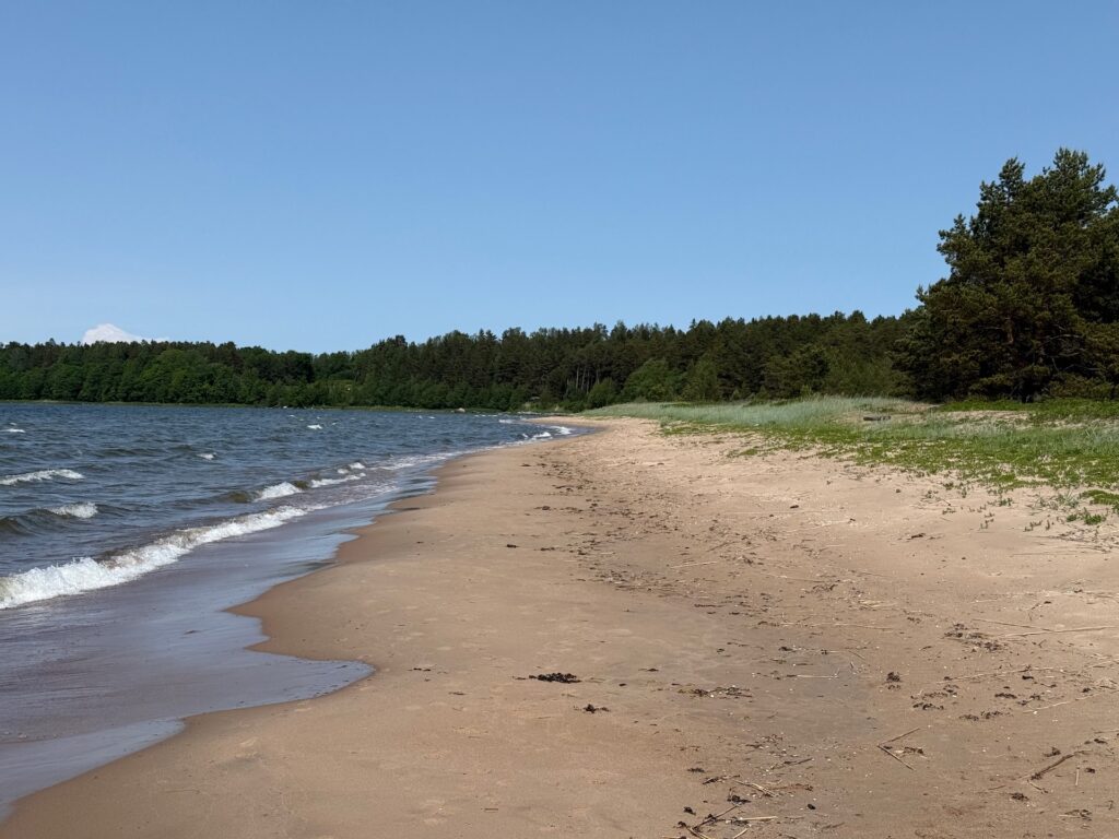 Baltikum 2025 – Lettland 2 – 35 Links ein Sandstrand mit sanften Wellen, gesäumt von einer Reihe grüner Bäume unter einem klaren blauen Himmel. Die Küstenlinie erstreckt sich in die Ferne, im Sand liegen verstreut kleine Trümmer.