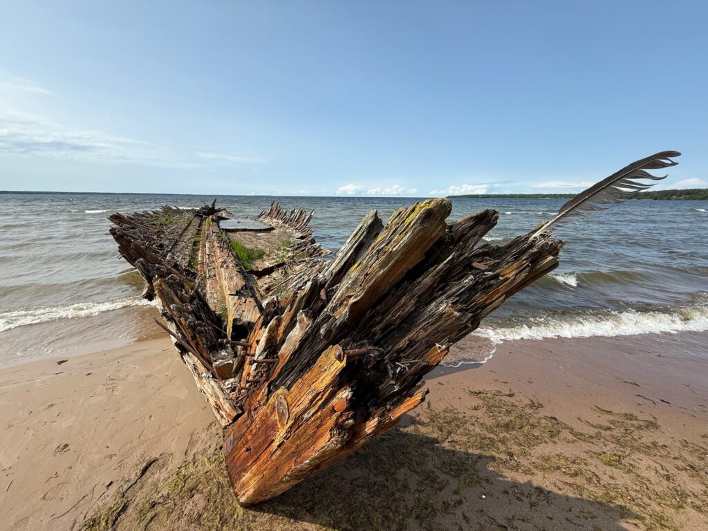 Baltikum 2025 – Lettland 2 – 36 Ein verwittertes Schiffswrack aus Holz liegt an einem Sandstrand mit sanften Wellen im Hintergrund unter einem klaren blauen Himmel. Die zerklüfteten Überreste liegen schräg zum Wasser, umgeben von verstreutem Treibholz und grünen Algen.