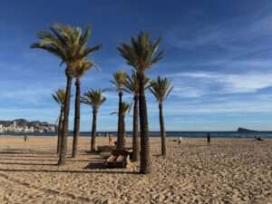 Eine Gruppe von Palmen steht an einem Sandstrand unter blauem Himmel. In der Nähe gehen Menschen spazieren oder entspannen sich, und das ruhige Meer erstreckt sich bis zum Horizont mit entfernten Gebäuden und einer Insel im Hintergrund.
